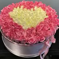 Mix Box 