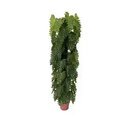 Ivy Artificial Plant 140cm