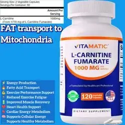 L Carnitine Fumarate, 1000mg per Serving, Carnitine, l carnitine, l carnitine Fumarate, transport fat into energy, metabolism, Nerves, brain, 120 Capsules carnitine