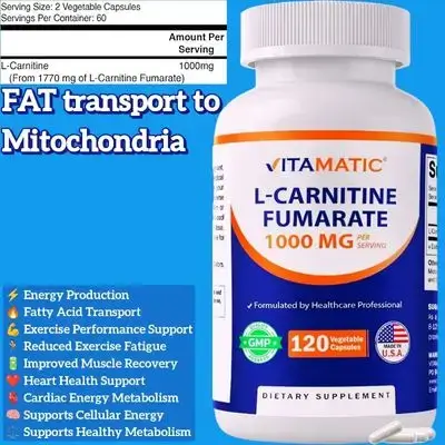 L Carnitine Fumarate, 1000mg per Serving, Carnitine, l carnitine, l carnitine Fumarate, transport fat into energy, metabolism, Nerves, brain, 120 Capsules carnitine 