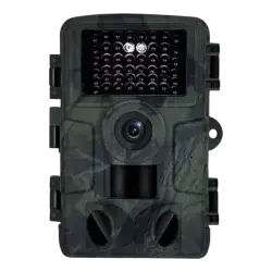 Night Vision Camera