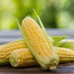 Corn