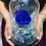 Forever Rose