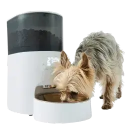 Automatic Pet Feeder 5L