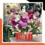 Flower Basket