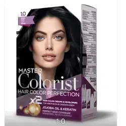 MASTER colorist HAIR COLOR PERFECTION#1.0