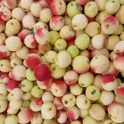 ​Green sour apples