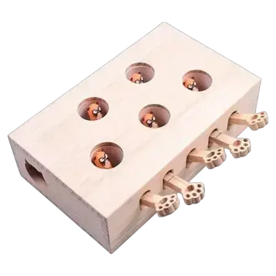 لعبة القطط