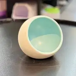 Cat Bowl 