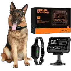Wireless Dog Fence