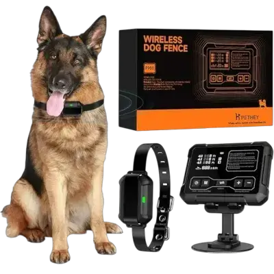 Wireless Dog Fence
