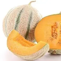 Melon Dime 2 Kg