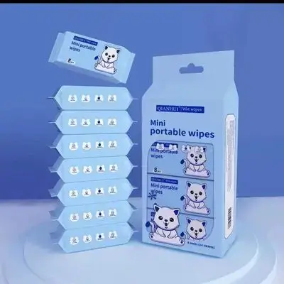 Mini Wet Wipes 8x