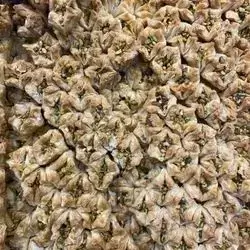 Pistachio Bundle