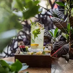 Mojito Blueberry