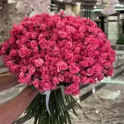 Bouquet Of Pink Roses 