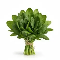 Spinach