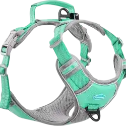 ThinkPet Harness L