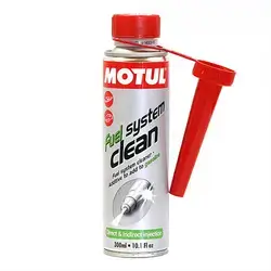 FUEL SYSTEM CLEAN