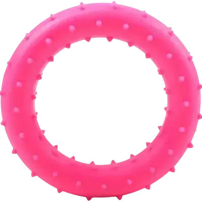Dog Toy