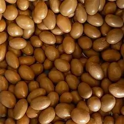 Turkish Badamli