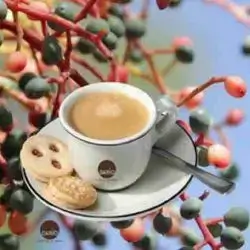 Kurdish (Terebinth) Coffee - Caffeine Free