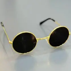 Pet Glasses L
