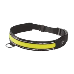 Zoofari Led Dog Collar