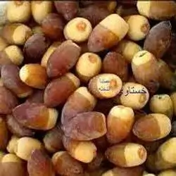Khastawi Dates