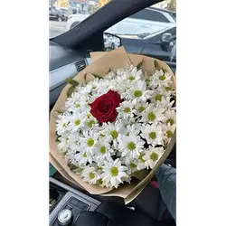 Dawoodi & One Rose