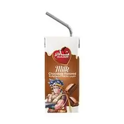 Nadir Chocolate Flavoured Milk 125 Ml