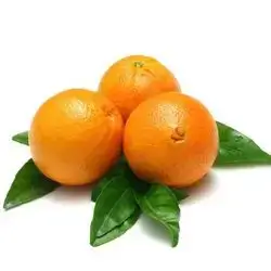 Iraqi Orange