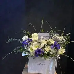 بۆکسی گوڵ پراو پر لە جوانی و ناسکی