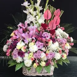 Basket Of Flowers-Colors