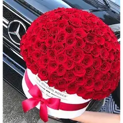 Flower Box