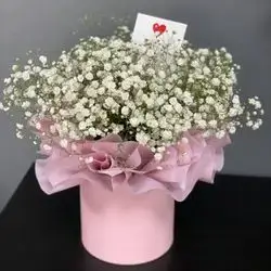 Box Of Jbsofeelia