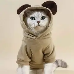 Hoodie L