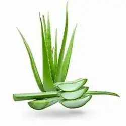 Aloevera Pc