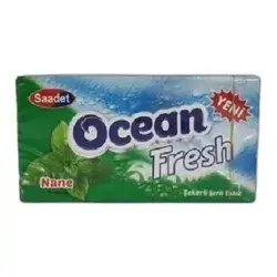Ocean Fresh Mint Gum 14g