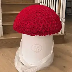 Flower Box