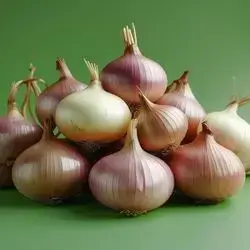 Onion Dolma