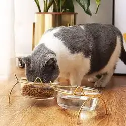 Dual Bowls