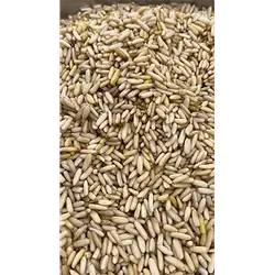 Snober Seed