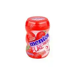 Mentos Pure Fresh Gum Strb 17.5g