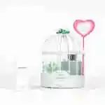 Offer 6
