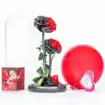 Offer 8