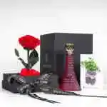 Offer 12