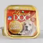 Special Dog