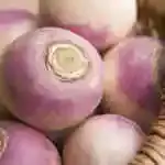 Turnip