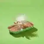 English Cake